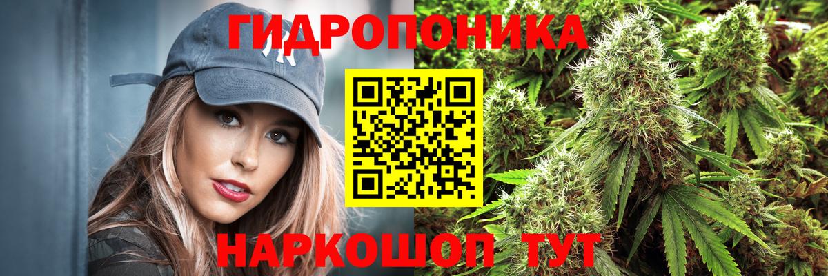 Бошки Шишки OG Kush  Вход с VPN  МАРИХУАНА сатива  Бугуруслан  МАРИХУАНА Bruce Banner 